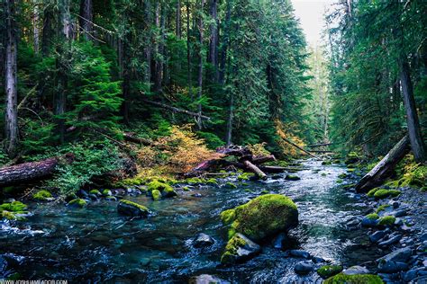 Bull of the Woods Wilderness, Oregon - Beautiful places. Best places in the world. Shut up and ...