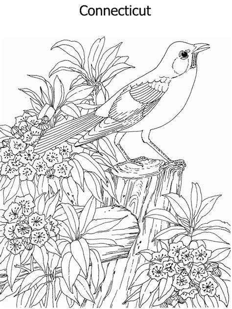 Georgia State Flower Coloring Page