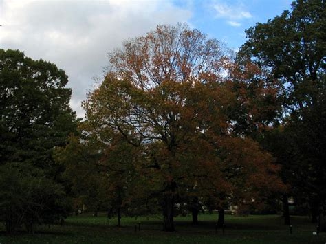 New York Botanical Garden in Fall, Bronx Park, The Bronx