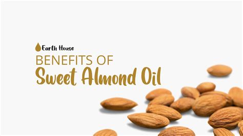 Sweet Almond Oil - Uses & Benefits – Earth House