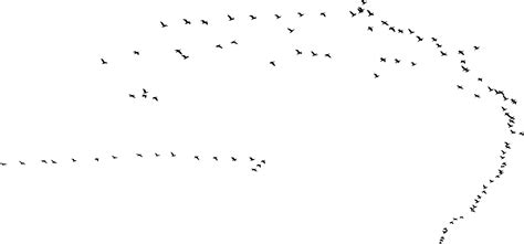 PNG Flock Of Birds Transparent Flock Of Birds.PNG Images. | PlusPNG