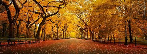 Download this high quality Beautiful Autumn Park Facebook Cover here on FB Cover Street! Themes ...