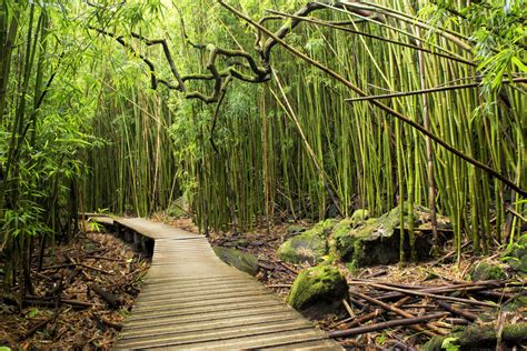 16 Breathtaking Photos Of Hawaii That Will Warm Your Cold Winter Heart