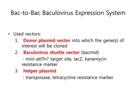 PPT - Bac-to-Bac expression system PowerPoint Presentation, free download - ID:1392637