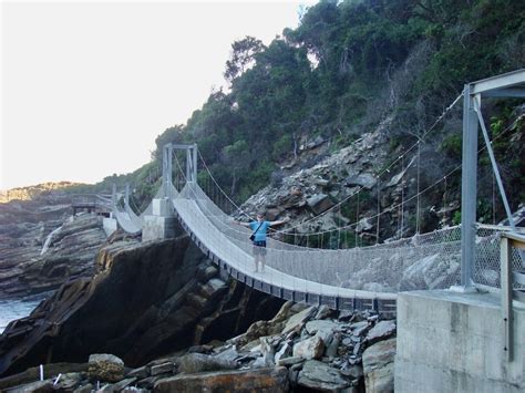 How to See Storms River Suspension Bridge in Tsitsikamma