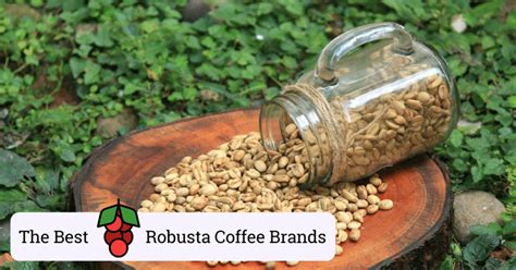 The 5 Best Robusta Coffee Brands (How To Choose)