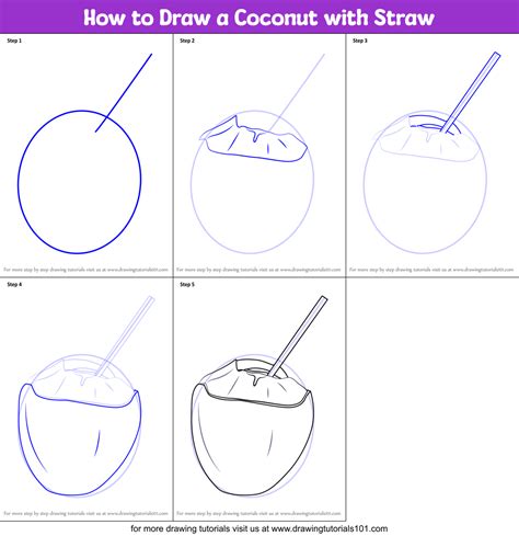 How to Draw a Coconut with Straw printable step by step drawing sheet : DrawingTutorials101.com