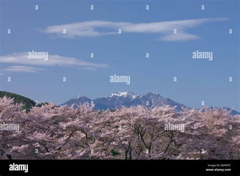 Yamanashi Prefecture, Japan Stock Photo - Alamy