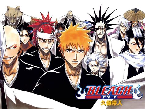 Do you think the final arc in the manga should be anime? Poll Results - Bleach Manga - Fanpop