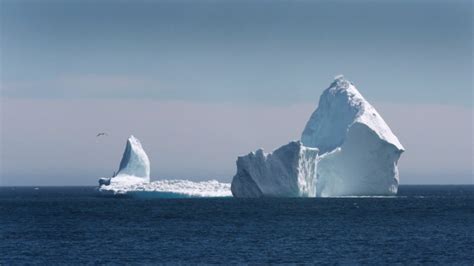 RCMP look into massive theft of iceberg water from Newfoundland warehouse | CTV News