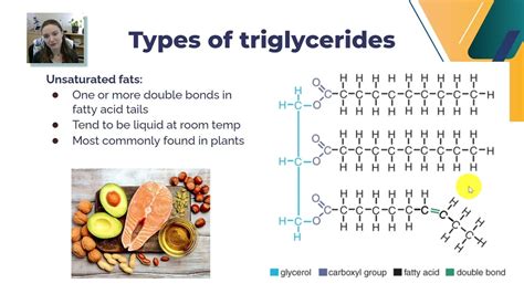 Lipids Part 1: Triglyceride Structure & Function - YouTube