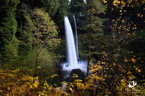 2024 Guide to North Falls, Oregon in Silver Falls State Park ⋆ We Dream ...