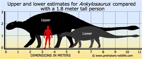 Prehistoric animals, Prehistoric wildlife, Prehistoric creatures