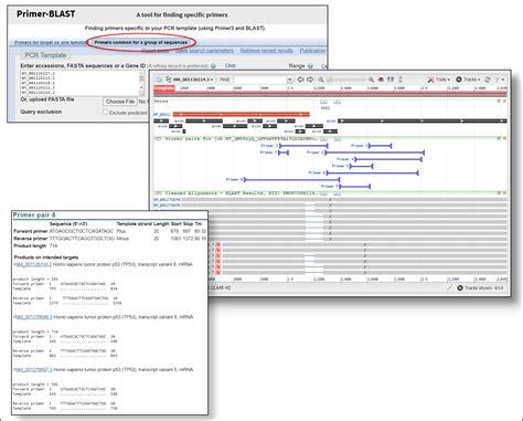 Primer-BLAST now designs primers for a group of related sequences - NCBI Insights