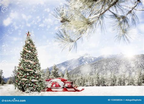 Snowy Outdoor Christmas Tree Scene in Mountains Stock Photo - Image of ...