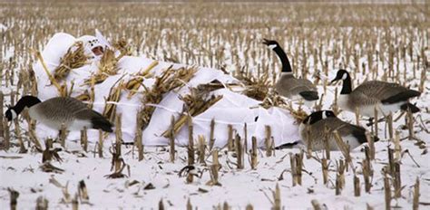 Prepping your layout blind for duck season | Grand View Outdoors