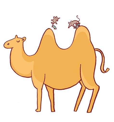 Camel clipart animated gif, Camel animated gif Transparent FREE for ...