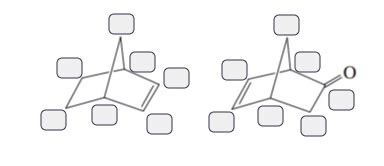 Solved Label each asymmetric carbon atom in the following | Chegg.com