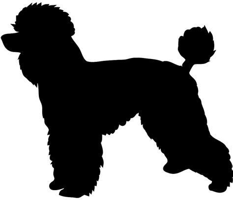 toy poodle clipart 20 free Cliparts | Download images on Clipground 2024