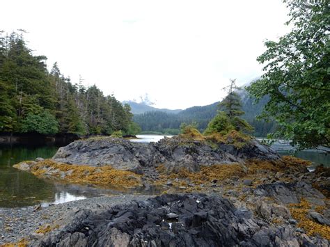 Glacier Bay Tours Across Juneau and Sitka, Alaska | Timberline Adventures