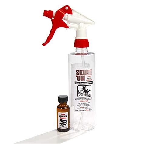 Best Skunk Repellents - Bricks Chicago