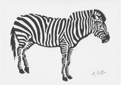 Zebra. Black and white. From 14.6.14 photo YWP. | Mick Burton