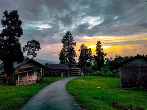 Rongo Cinchona Plantation - Rongo's River Side Farm Stay