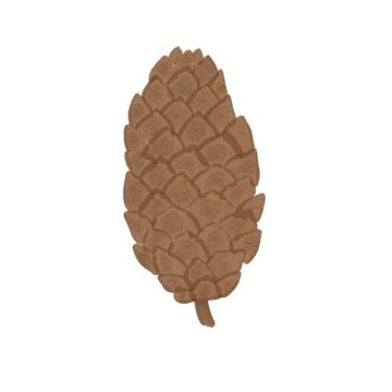Pine Tree Seeds, Seed, Pinecone, Pine PNG Transparent Clipart Image and PSD File for Free Download