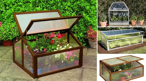 40 Greenhouse Cold Frames Designs