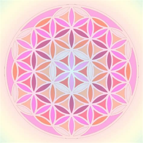 Flower Of Life Free Stock Photo - Public Domain Pictures