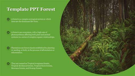 Explore Forest Powerpoint Template Free Presentation - vrogue.co