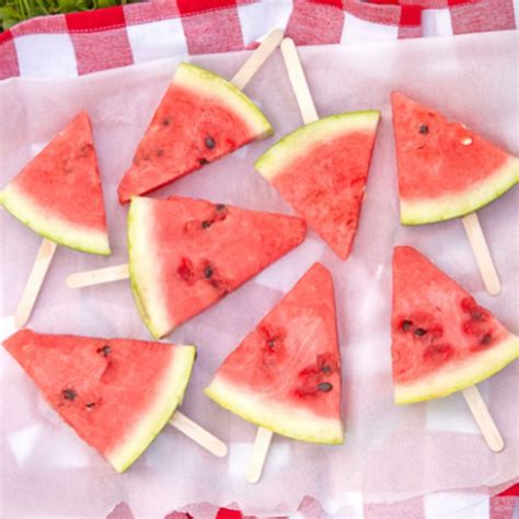 Watermelon Pop - National CACFP Sponsors Association