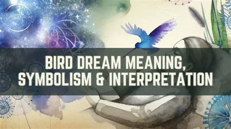 Bird Dream Meaning, Symbolism & Interpretation