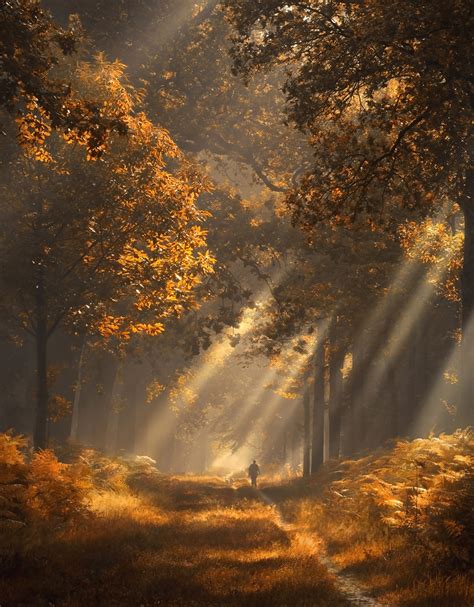 Rays of light - Rob Visser Photography