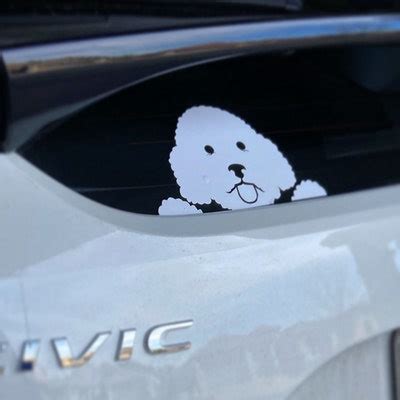 Peeking Cat Kitten Vinyl Decal Sticker - Etsy