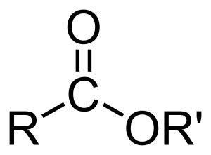 Ester Definition, Examples And Facts | Chemistry Dictionary