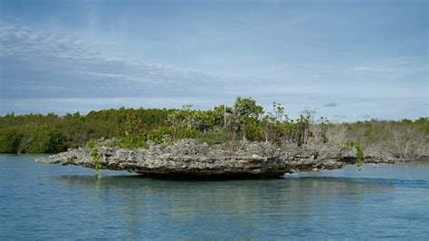 Find Aldabra Atoll, Seychelles Hotels- Downtown Hotels in Aldabra Atoll ...