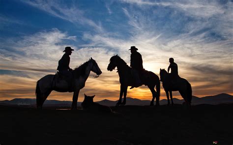 Cowboys at Sunset 4K wallpaper download