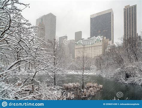 Central Park in winter stock photo. Image of season - 259651438