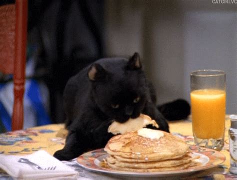 Salem Saberhagen gifs - Salem Saberhagen Fan Art (38923754) - Fanpop