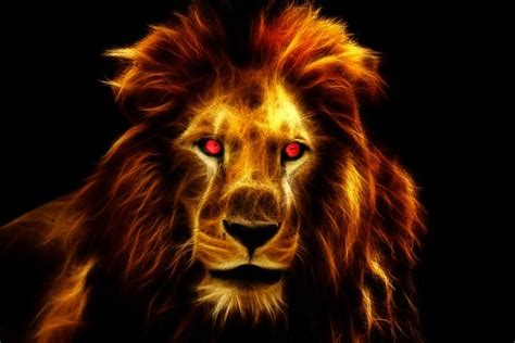 Download Lion, King, Africa. Royalty-Free Stock Illustration Image - Pixabay