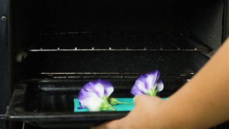 How To Dry Flowers In The Microwave Quickly In Just Minutes!