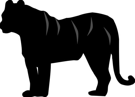 Tiger Silhouette Images at GetDrawings | Free download