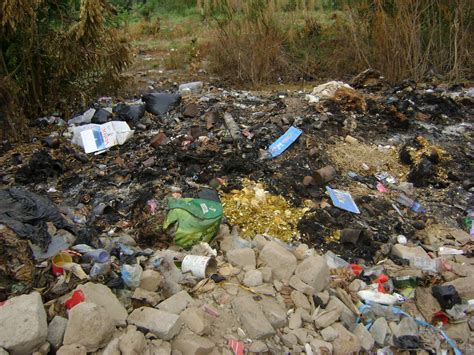 THE ENVIRONMENT: WHAT ARE THE CAUSES OF POOR SANITATION IN GHANA?