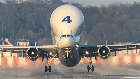 AIRBUS BELUGA LANDING - When an AIRBUS gets STUNG BY A BEE (4K) - YouTube