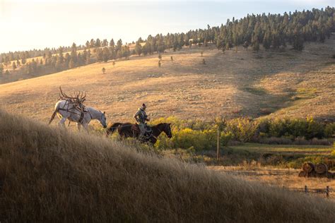 Montana Ranch Properties Properties - Trophy Ranches