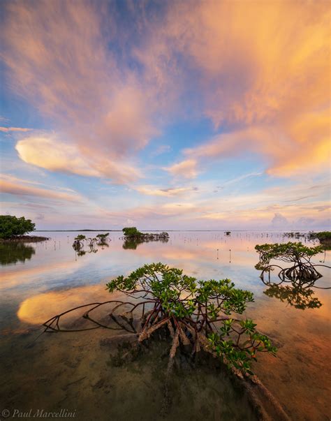 Sugarloaf Sunrise : Sugarloaf Key, National Key Deer Refuge, Florida Keys, FL : Florida ...