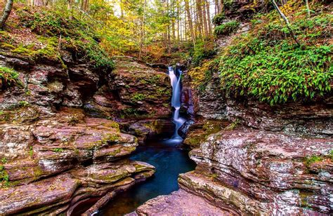 PA Easy Waterfall Hike: Ricketts Glen State Park Near Bloomsburg