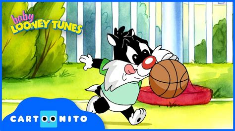 Baby Looney Tunes | Basketball and Tea | Cartoonito UK - YouTube