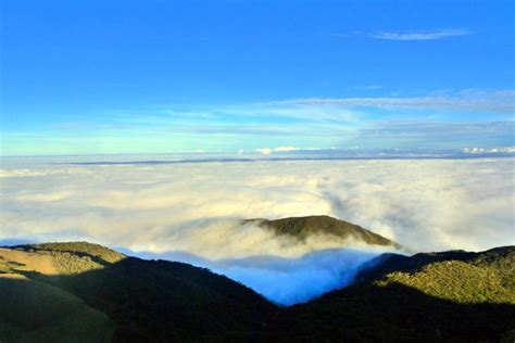 Mt Pulag Climb Ambangeg-Ambangeg Trail Starting At Php 3000 (2D/1N)|